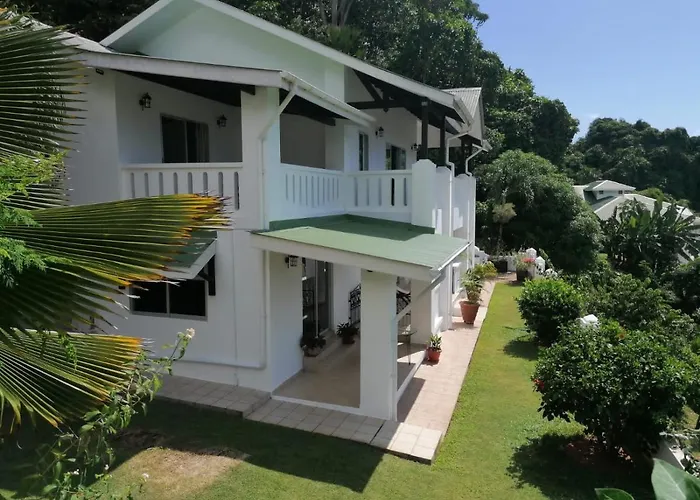 Villa Bottle Palm
